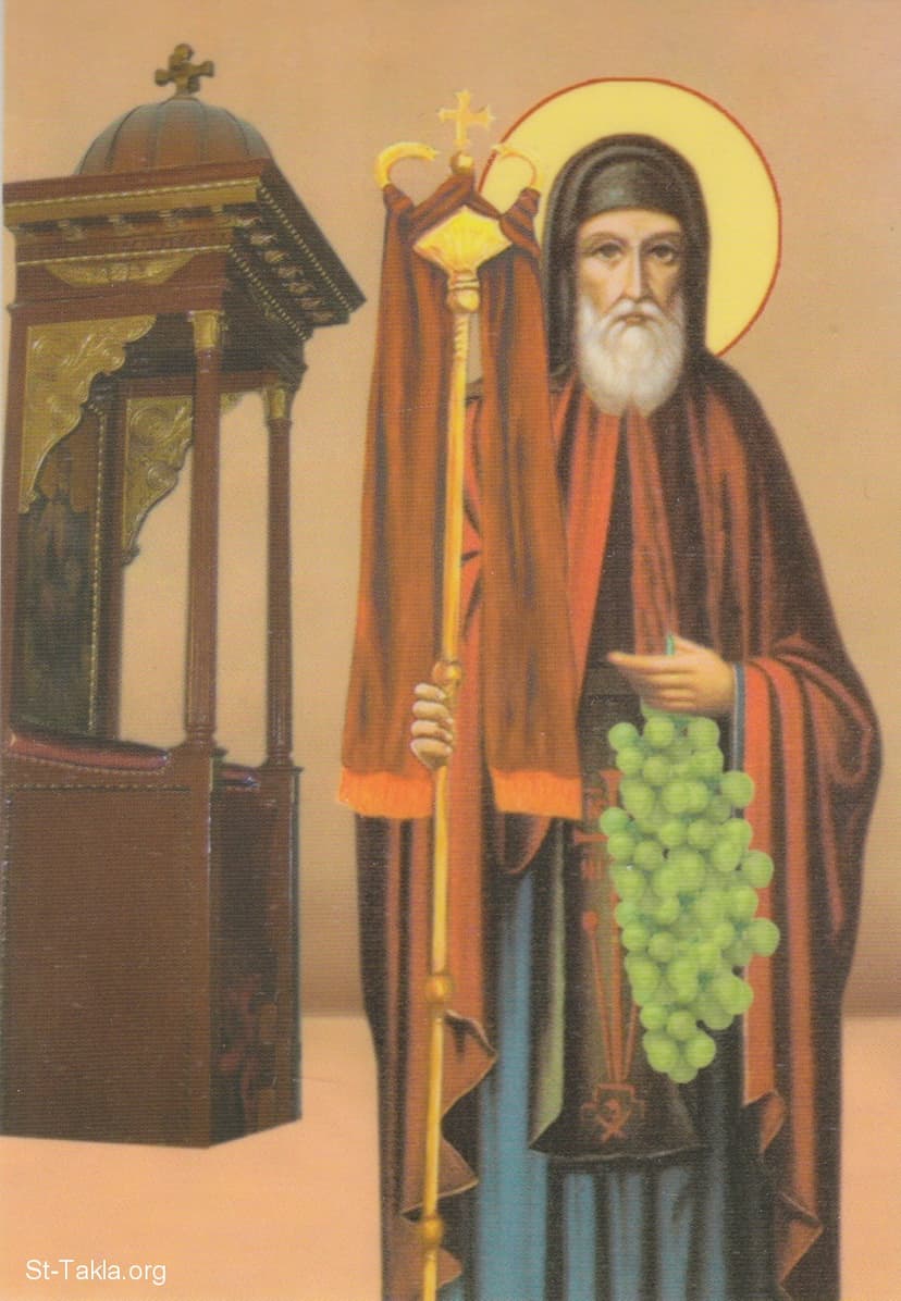 St-Takla.org Image: His Holiness Saint Pope Dimetrios the Vineyardist (vinegrower, viticulturist) - El Baba Coptic Pope Demetrius I (number 12) صورة في موقع الأنبا تكلا: قداسة البابا المعظم البابا ديمتريوس الكرام رقم 12 - الأنبا دمتريوس، ديميتريوس الكرام